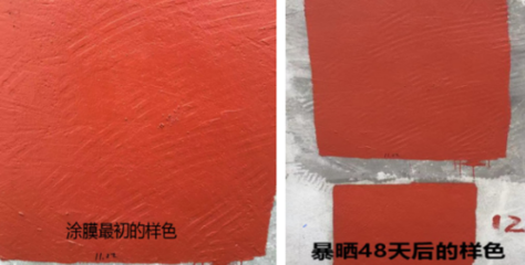 新品丨三棵樹(shù)防水全新&ldquo;黑科技&rdquo;,讓工人愛(ài)不釋手